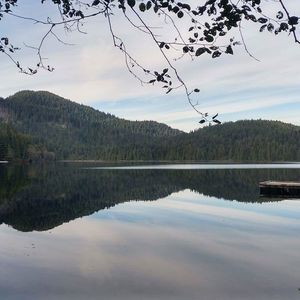 Meet your Posher, Marina